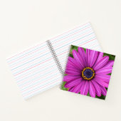 Carnet Head de Purple (Intérieur)