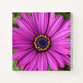 Carnet Head de Purple (Dos)