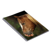 Carnet Headshot 1 de cheval d'Appaloosa (Côté Droit)