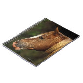 Carnet Headshot 1 de cheval d'Appaloosa (Côté gauche)