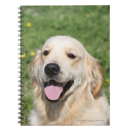 Carnet Headshot 1 de golden retriever (Devant)