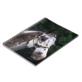 Carnet Headshot 2 de cheval d'Appaloosa (Côté gauche)