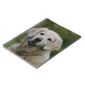 Carnet Headshot 2 de golden retriever (Côté gauche)