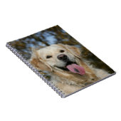 Carnet Headshot 3 de golden retriever (Côté Droit)