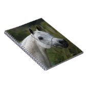 Carnet Headshot arabe 1 de cheval (Côté Droit)