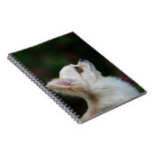 Carnet Headshot aux cheveux longs 2 de chiwawa (Côté Droit)