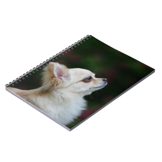 Carnet Headshot aux cheveux longs 2 de chiwawa (Côté gauche)