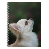 Carnet Headshot aux cheveux longs 2 de chiwawa (Devant)