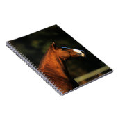 Carnet Headshot de cheval de pur sang (Côté Droit)