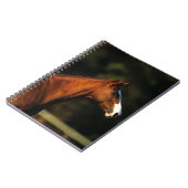 Carnet Headshot de cheval de pur sang (Côté gauche)