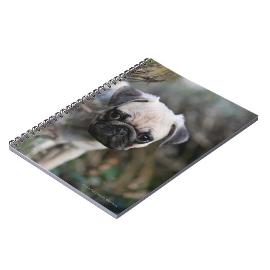 Carnet Headshot de chiot de carlin de faon (Côté gauche)