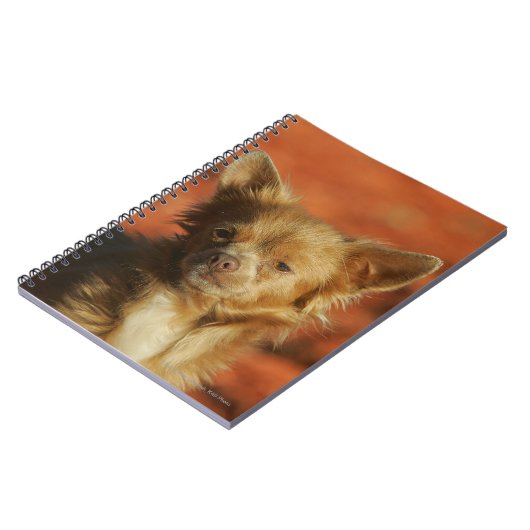 Carnet Headshot de chiot de chiwawa (Côté gauche)