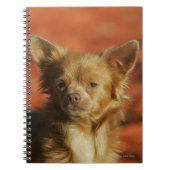 Carnet Headshot de chiot de chiwawa (Devant)