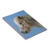 Carnet Headshot miniature de cheval (Côté Droit)