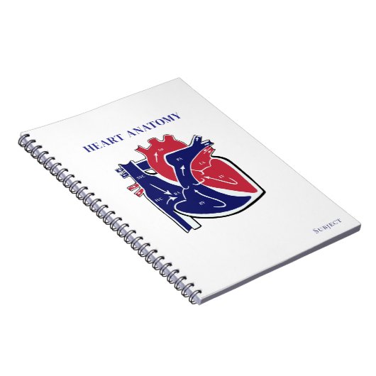 Carnet Heart Anatomy- (Côté Droit)
