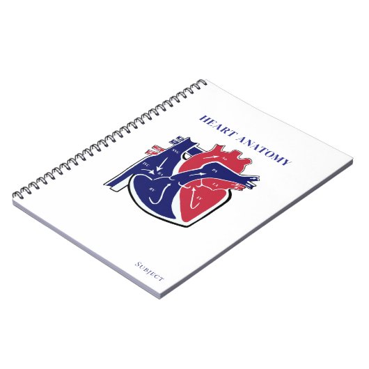 Carnet Heart Anatomy- (Côté gauche)