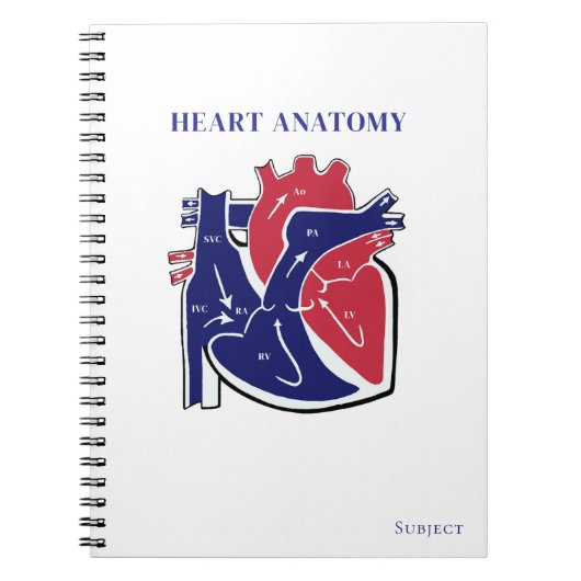 Carnet Heart Anatomy- (Devant)