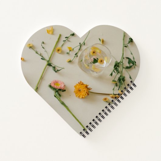 Carnet Heart Shaped Spiral Bound Notebook (Dos)