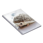 Carnet Hedgehog (Côté Droit)