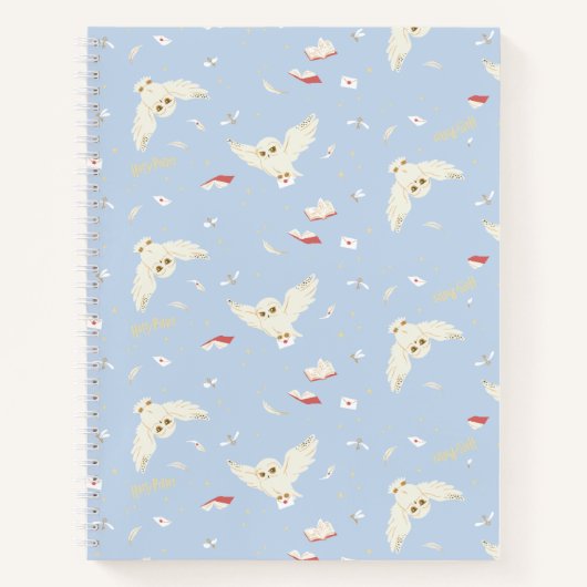 Carnet Hedwig Owl Post Letters and Books Pattern (Devant)