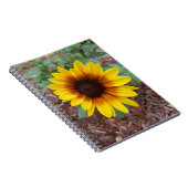 Carnet Helianthus Annuus sur un (Côté Droit)