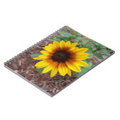 Carnet Helianthus Annuus sur un (Côté gauche)