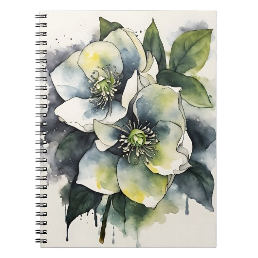 Carnet Hellebore - Fleurs aquarelle (Devant)