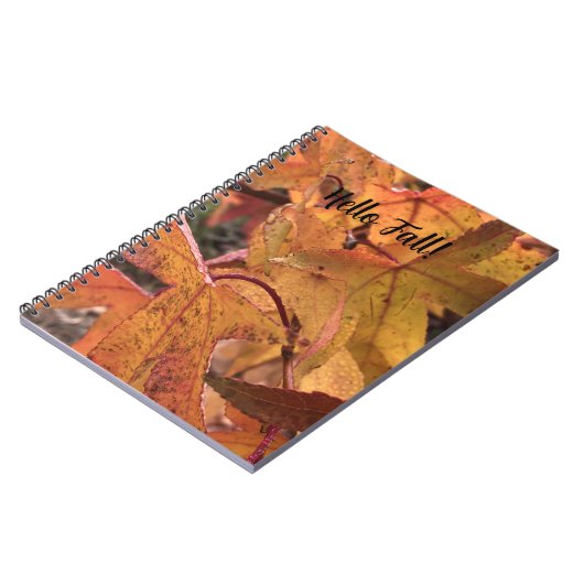 Carnet "Hello Fall!" Notebook (Côté gauche)