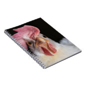 Carnet Hen (Côté Droit)