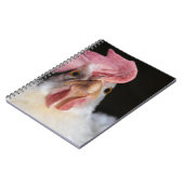 Carnet Hen (Côté gauche)