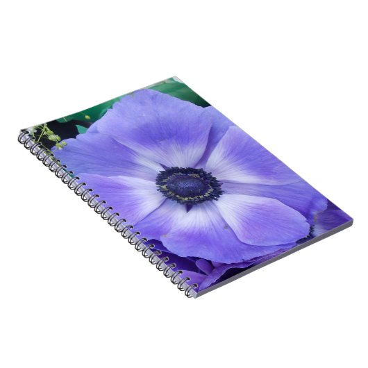 Carnet Henrietta (Côté Droit)