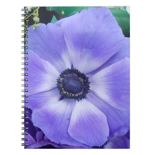 Carnet Henrietta (Devant)