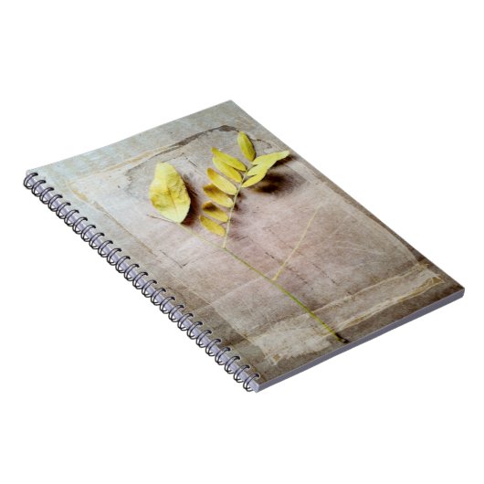 Carnet Herbarium V (Côté Droit)