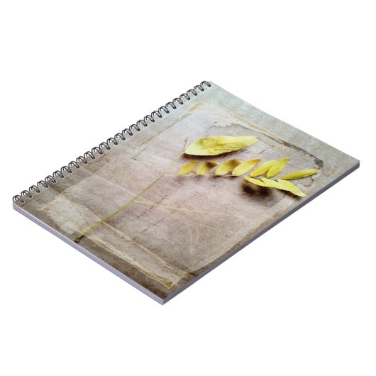 Carnet Herbarium V (Côté gauche)