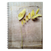 Carnet Herbarium V (Devant)