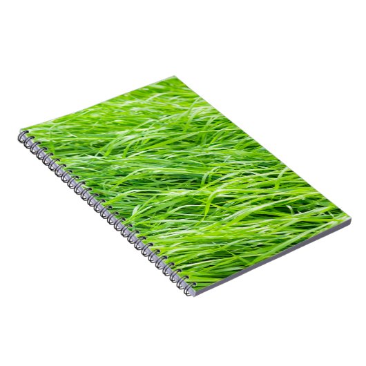 Carnet Herbe (Côté Droit)