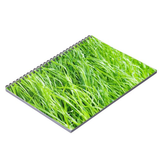 Carnet Herbe (Côté gauche)