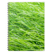 Carnet Herbe (Devant)