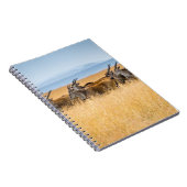 CARNET HERBE D'ANTÉLOPES SUR LE CHAMP GRASS (Côté Droit)