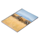 CARNET HERBE D'ANTÉLOPES SUR LE CHAMP GRASS (Côté gauche)