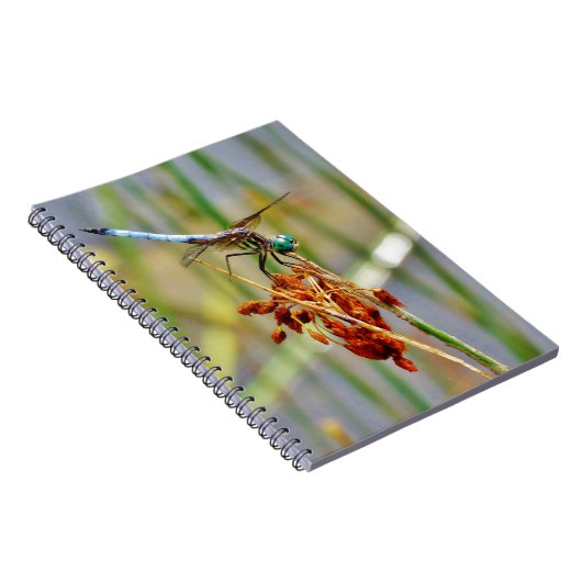 Carnet Herbe de carex, et libellule (Côté Droit)