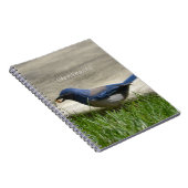 Carnet Herbe Merlebleu (ma photographie) (Côté Droit)