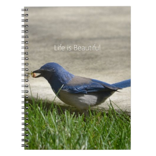 Carnet Herbe Merlebleu (ma photographie) (Devant)