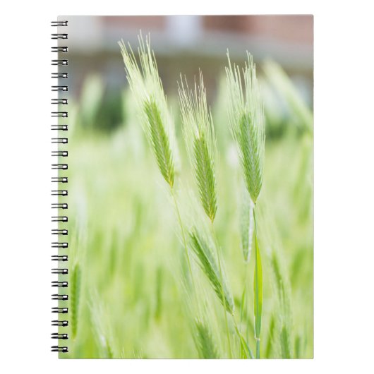 Carnet Herbe verte (Devant)