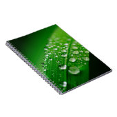 Carnet Herbe verte à feuilles d'eau (Côté Droit)