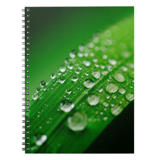 Carnet Herbe verte à feuilles d'eau (Devant)