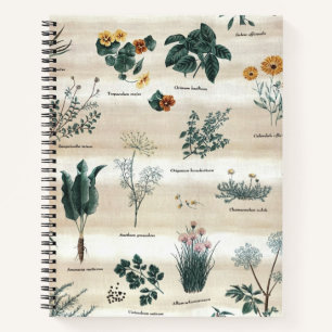 Carnet Herbes Fleurs Plantes