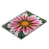 Carnet Hereford (Côté gauche)