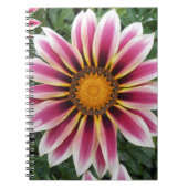 Carnet Hereford (Devant)