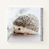 Carnet Hérisson bébé mignon (Dos)